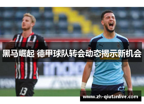黑马崛起 德甲球队转会动态揭示新机会